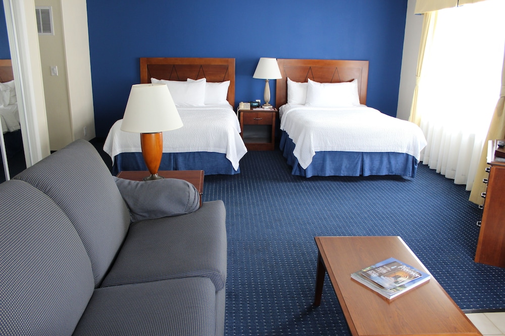 Junior Studio Suite, 2 Double Beds, Kitchen photo 2