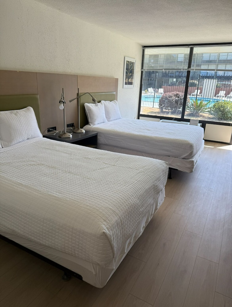 Deluxe Double Room, 2 Double Beds photo 1