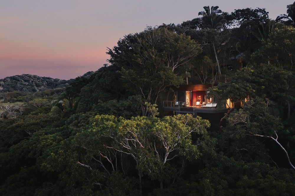 Tree House - Photo 2