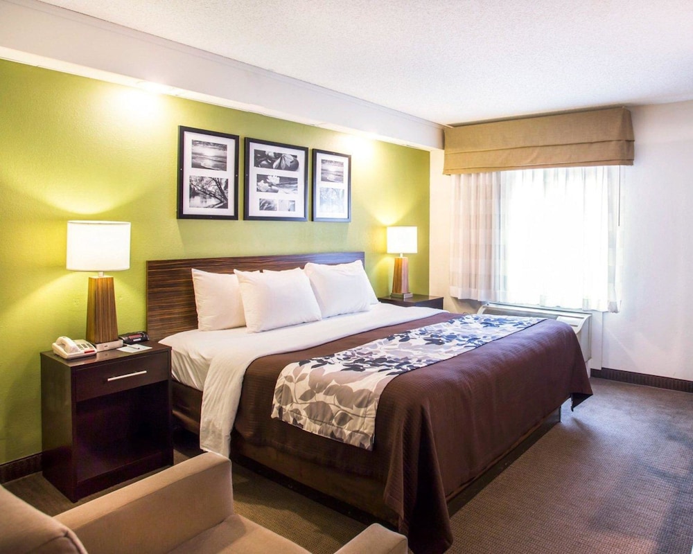 Standard Room, 1 King Bed, Non Smoking - Photo 1