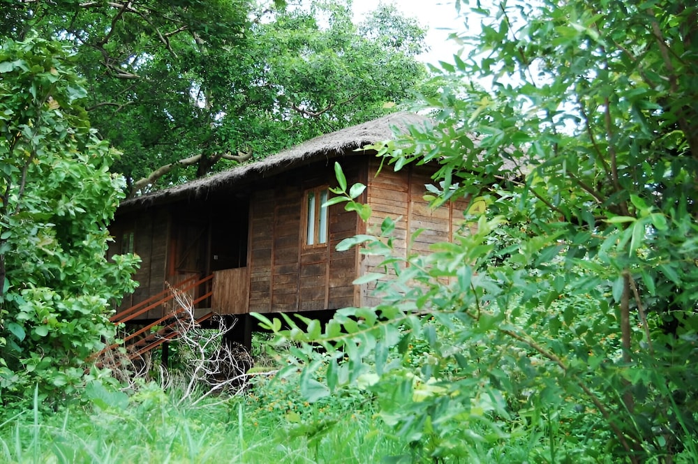 Deluxe Cottage, 1 King Bed, Park View, Garden Area photo 2