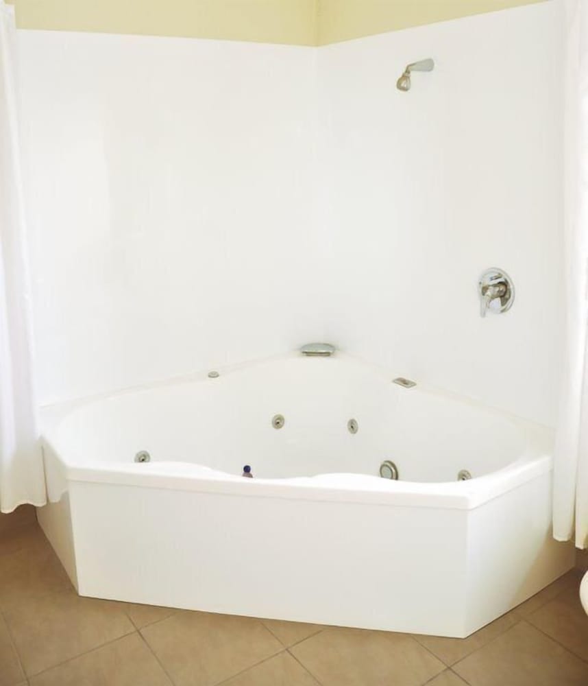 Suite, 1 King Bed photo 3