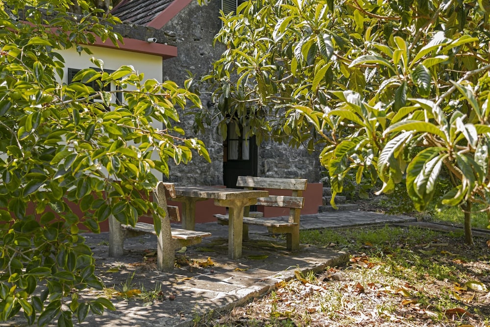 Cottage (1 Bedroom) photo 2
