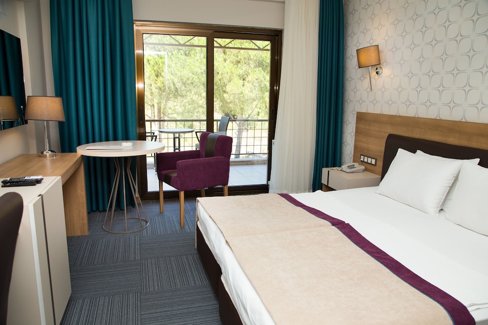 Standard Double or Twin Room photo 3