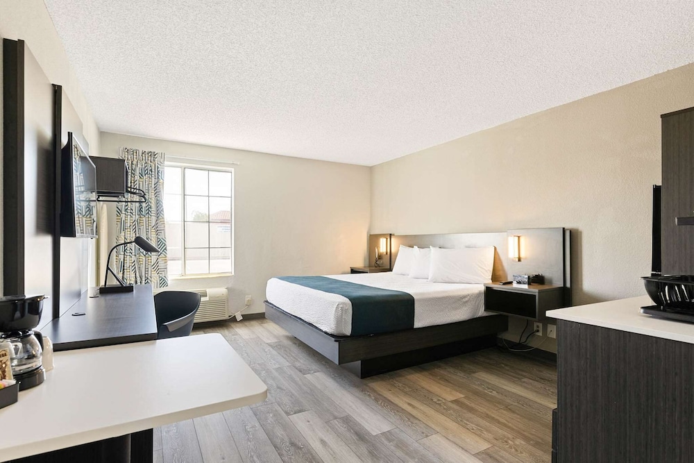 Standard Room, 1 King Bed, Non Smoking, Kitchenette - Photo 5