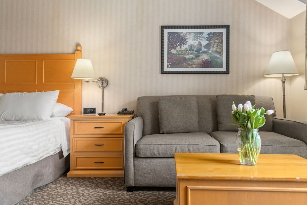 Premium Studio Suite, 1 Queen Bed with Sofa bed, Balcony, Mountain View - No Pets Allowed