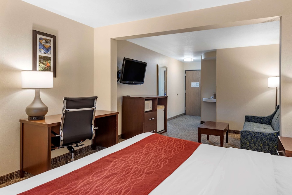 Suite, 1 King Bed with Sofa bed, Non Smoking - Photo 4