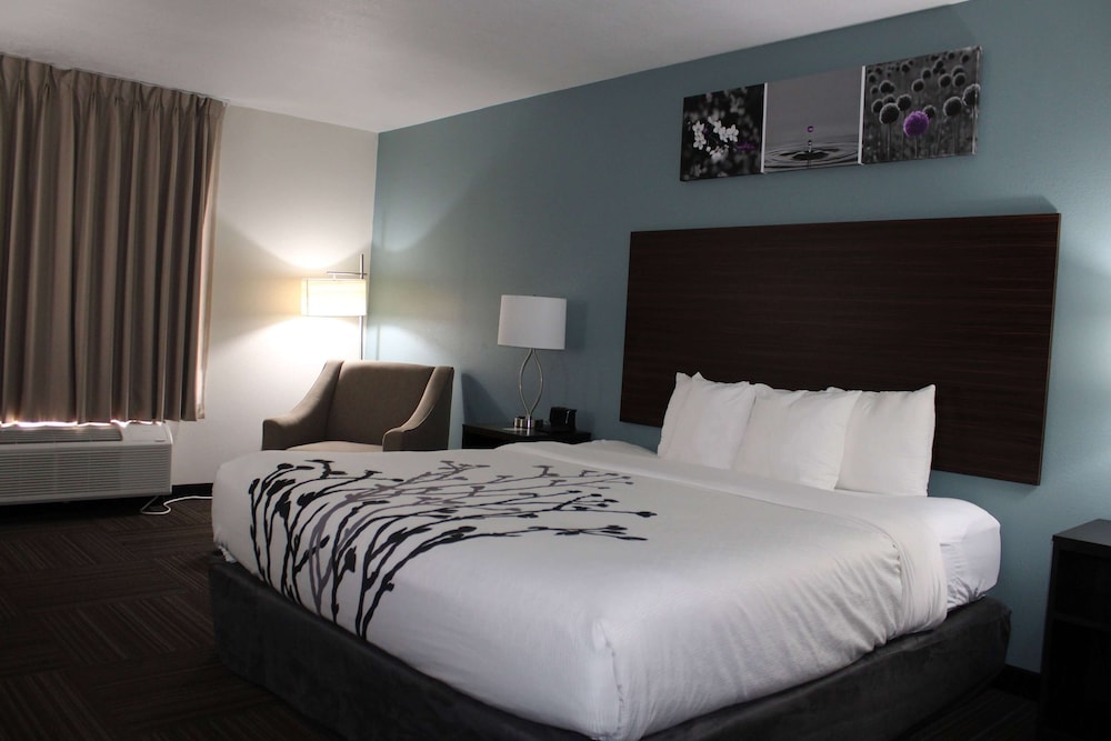 Room, 1 King Bed, Accessible, Non Smoking (Mobility, Roll-in Shower) - Photo 17