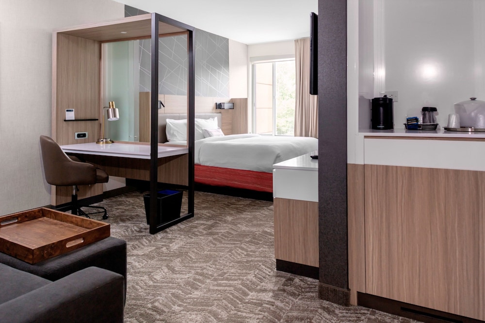 Suite, 1 King Bed (Mobility Accessible, Roll-In Shower) - Photo 1