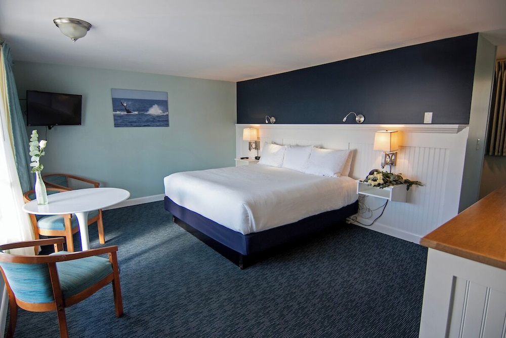 Deluxe Suite photo 1