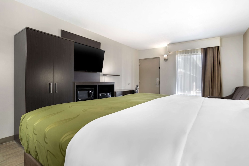 Suite, 1 King Bed with Sofa bed, Non Smoking - Photo 3