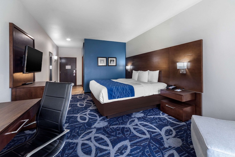 Standard Room, 1 King Bed, Non Smoking photo 1
