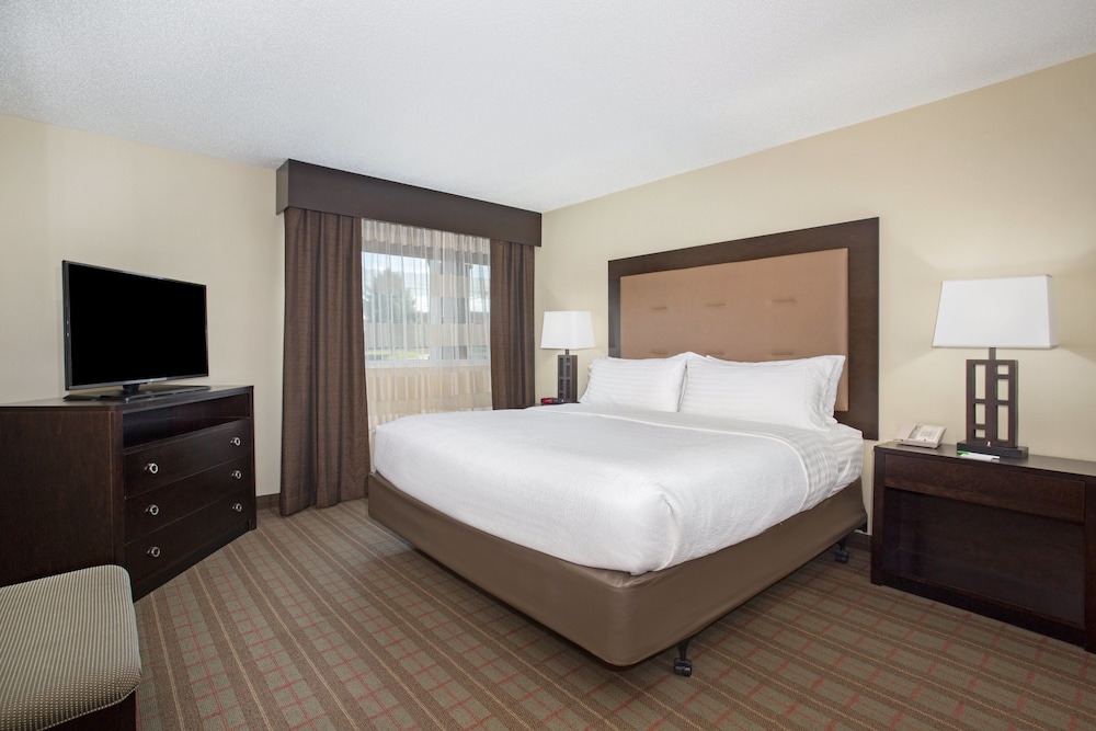 Suite, 1 King Bed