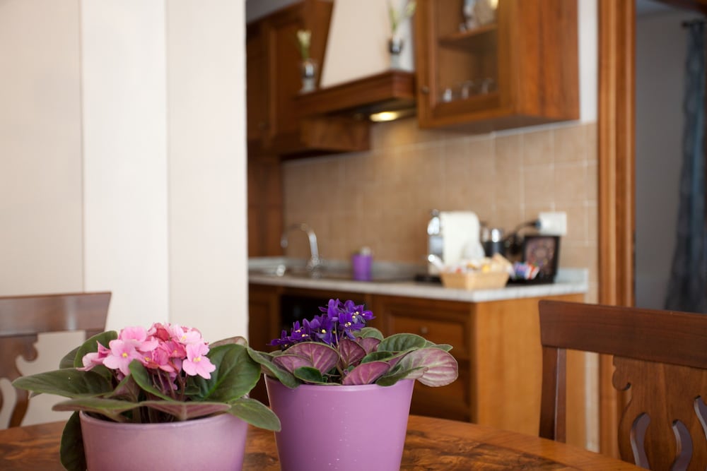 Comfort Apartment, 2 Bedrooms, Non Smoking, Garden View photo 3