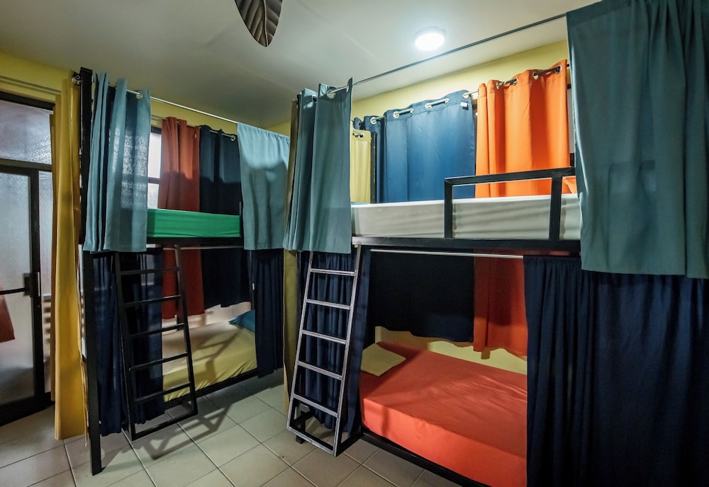 Comfort Shared Dormitory photo 2
