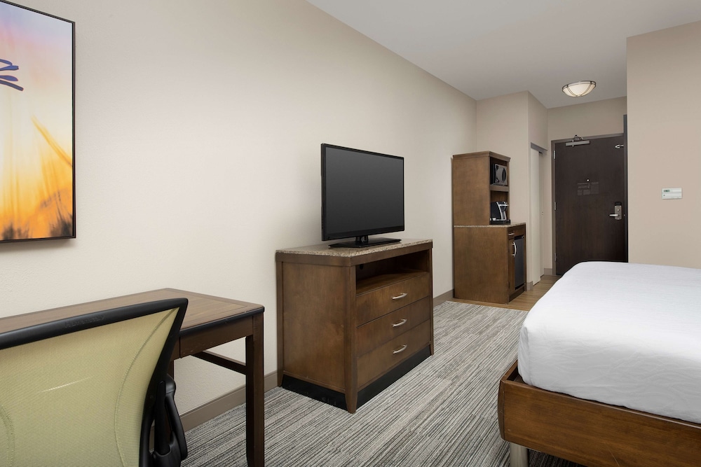 Room, 1 King Bed, Bathtub photo 3