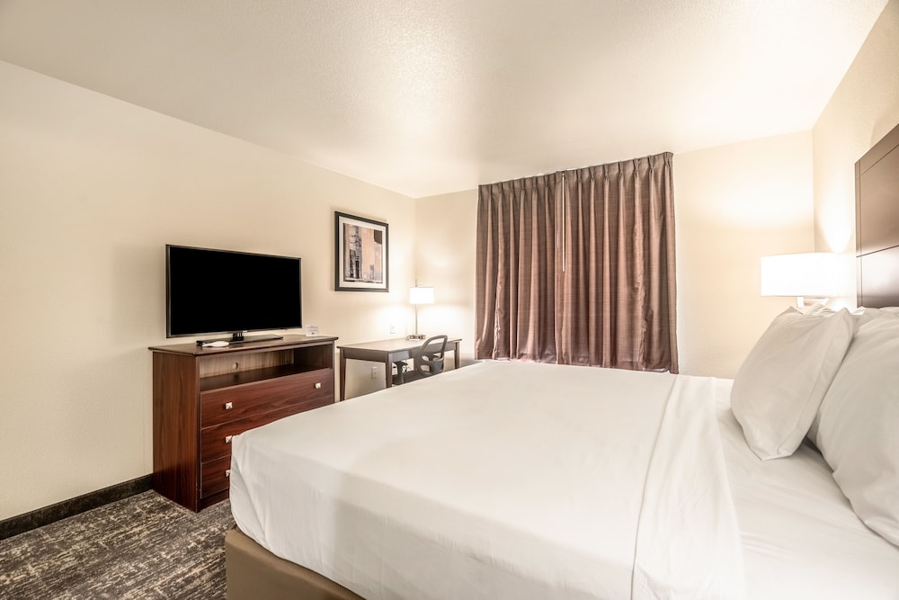 Room, 1 King Bed, Audible/Visual Adapted, Non Smoking - Photo 3