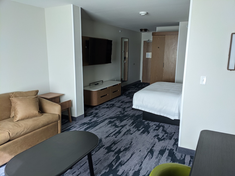 Suite, 1 King Bed with Sofa bed - Photo 6