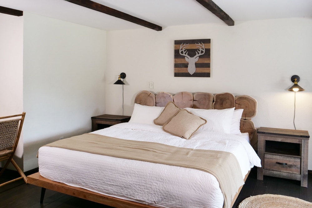 Room, 1 King Bed with Sofa bed photo 2