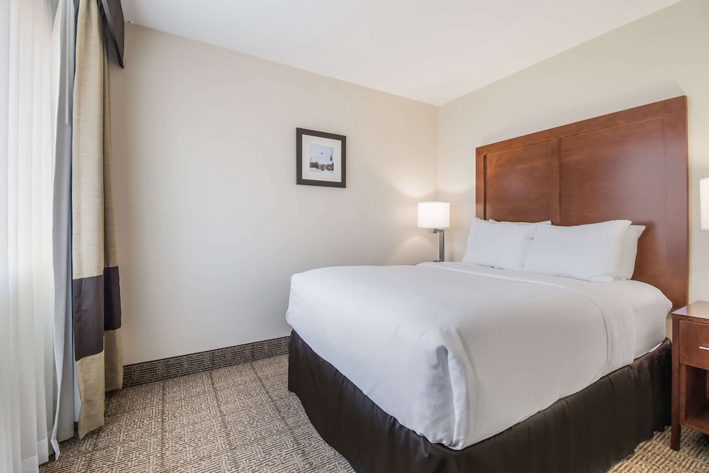 Suite, 1 King Bed - Photo 3