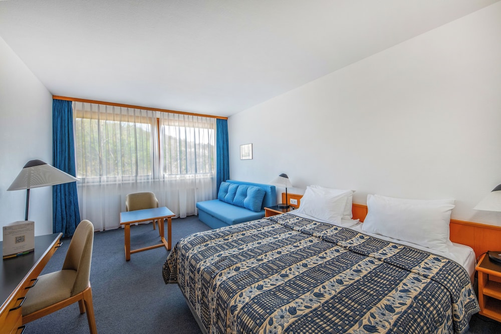 Standard Plus room with sofa bed photo 1