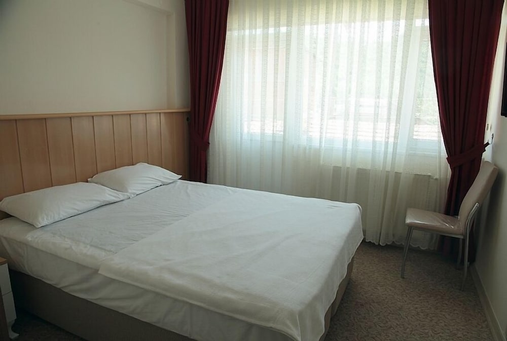 Standard Double or Twin Room photo 1