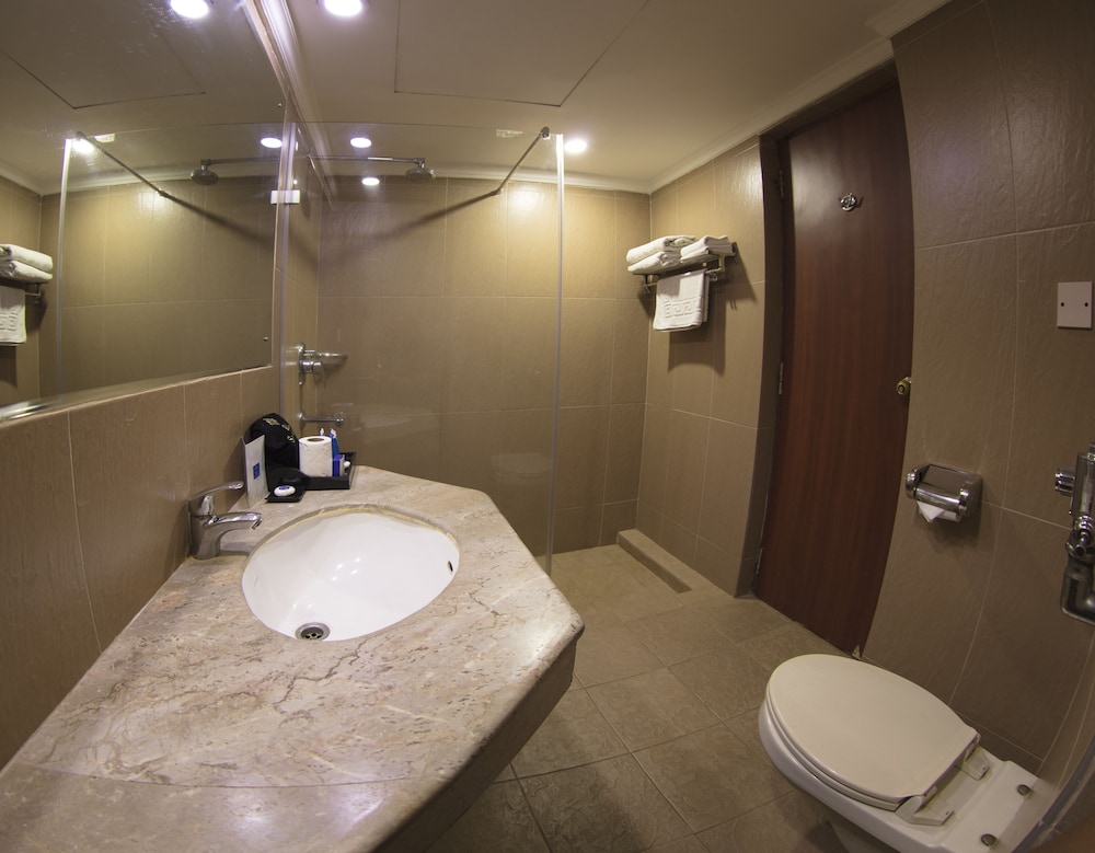 Deluxe Double Room, Smoking, City View photo 3