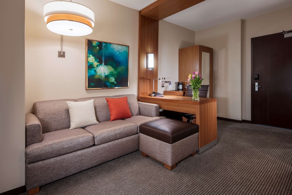 Suite, 1 King Bed With Sofa Bed, Accessible (1 Bedroom, With Shower) photo 3