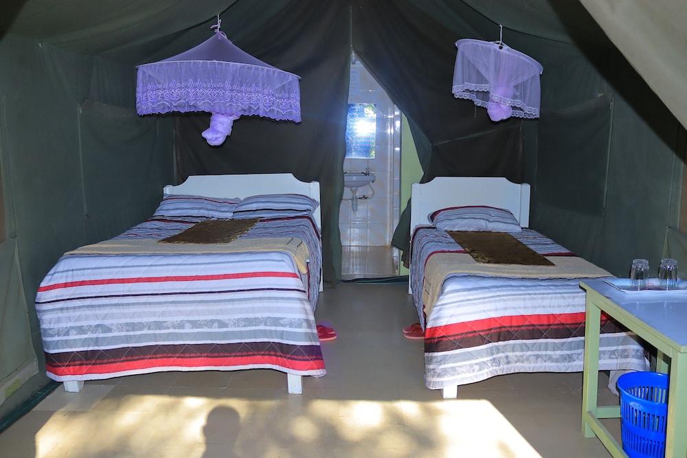Deluxe Double or Twin Room, 2 Twin Beds, Balcony, Park View photo 1