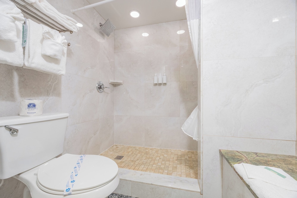 Deluxe Suite, Multiple Beds, Non Smoking - Photo 6