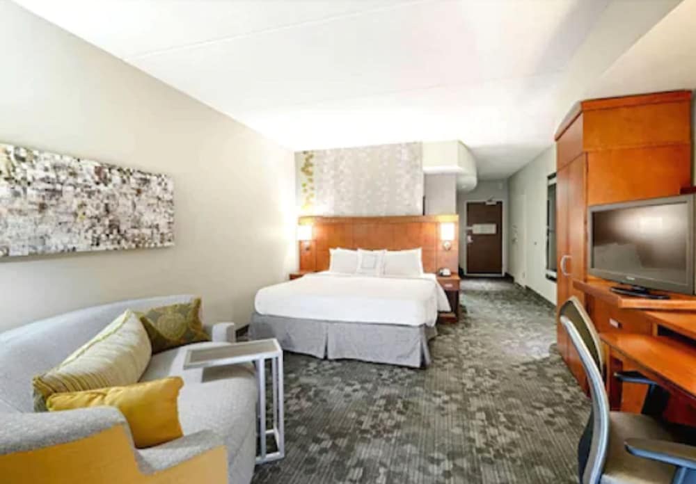 Room, 1 King Bed with Sofa bed (Mobility/Hearing Access, Roll-In Shwr) - Photo 2