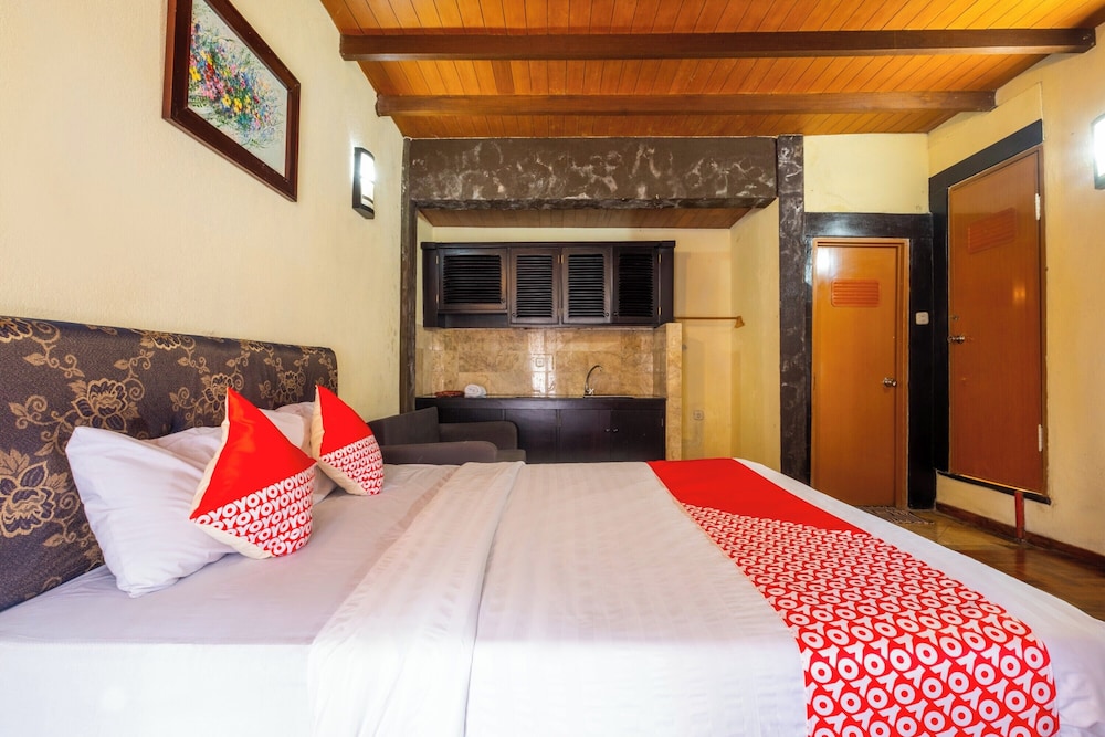 Deluxe Double Room photo 2