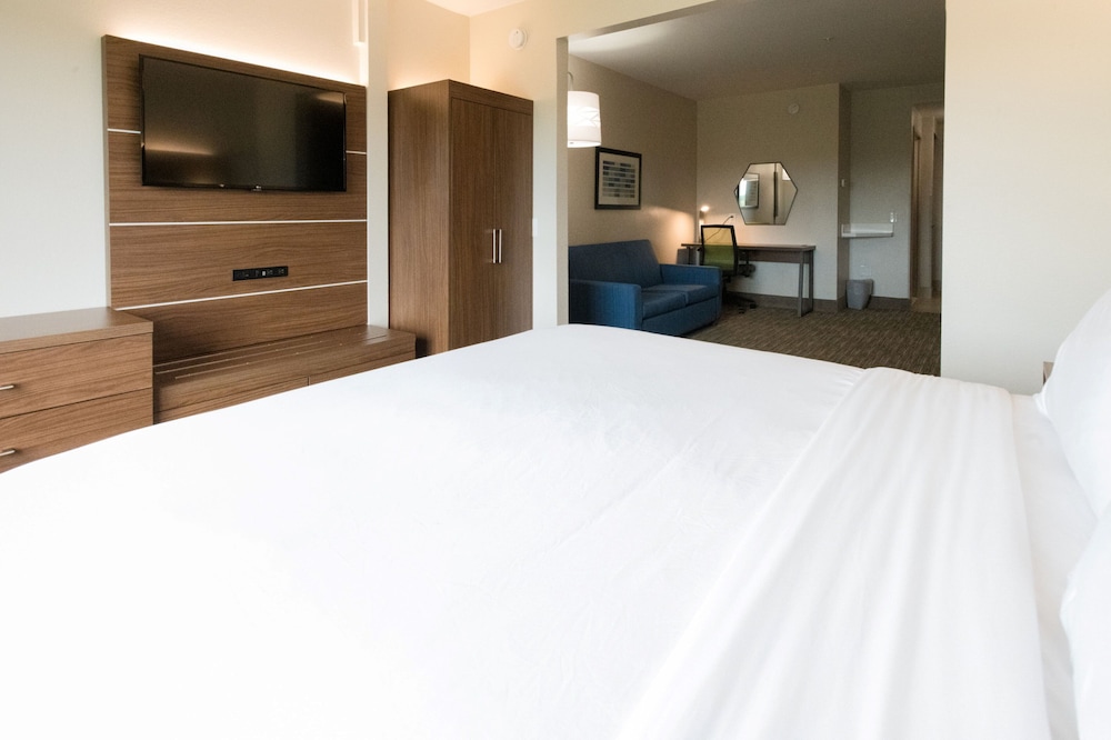 Suite, 1 King Bed, Accessible, Non Smoking (Communciations) - Photo 3