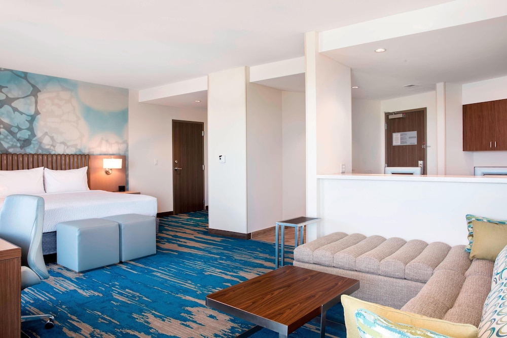 Studio Suite, 1 King Bed With Sofa Bed, Balcony (mobility/hearing Access, Roll-in Shwr)