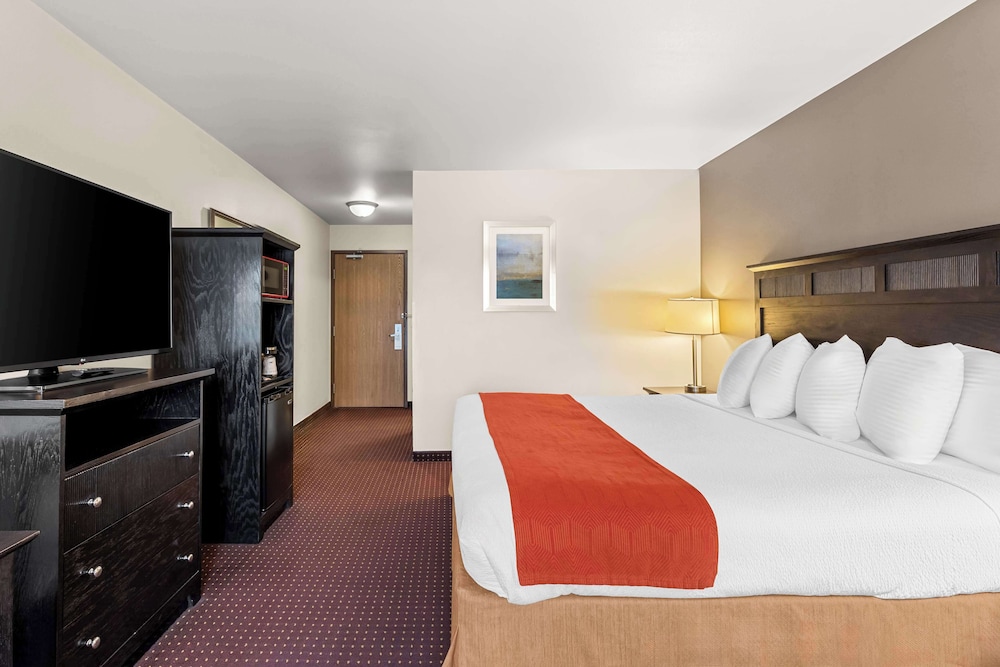 Standard Room, 1 King Bed, Non Smoking, Refrigerator & Microwave - Photo 2