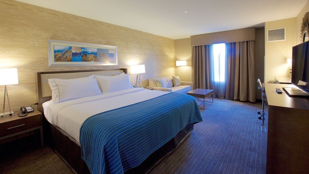 Standard Room, 1 King Bed, Accessible (Roll-In Shower) photo 1