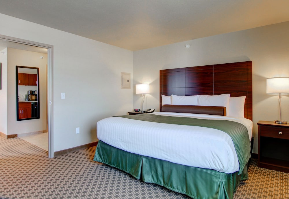 Room, 1 King Bed, Non Smoking photo 2