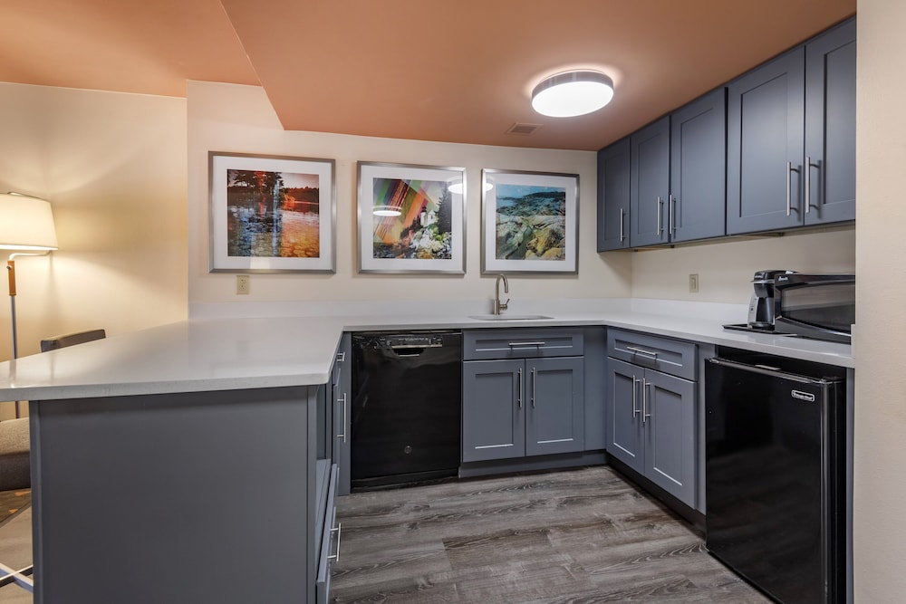 Suite, 1 Bedroom - Photo 1