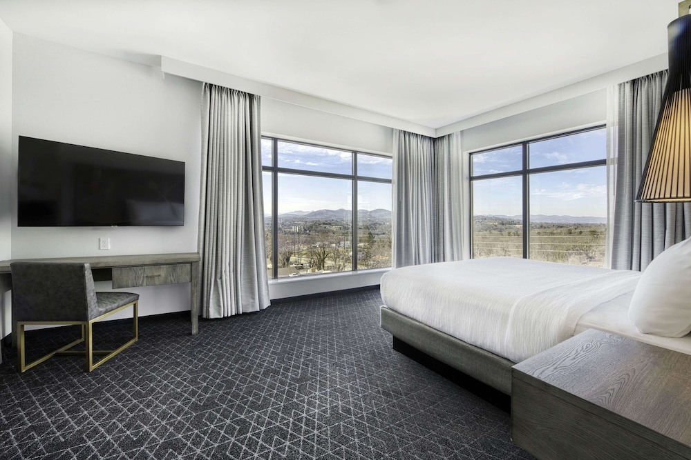 Premium Room, 1 King Bed, Mountain View (Hearing), photo 6