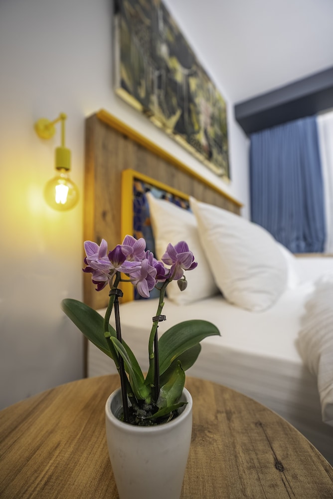 Business Double Room, City View photo 1