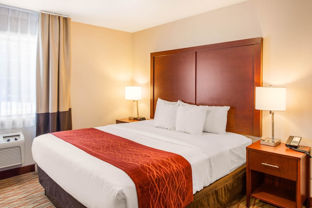 Suite, 1 King Bed, Non Smoking, Jetted Tub photo 3