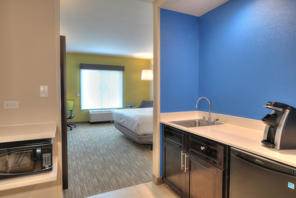 Suite, 1 King Bed - Photo 10