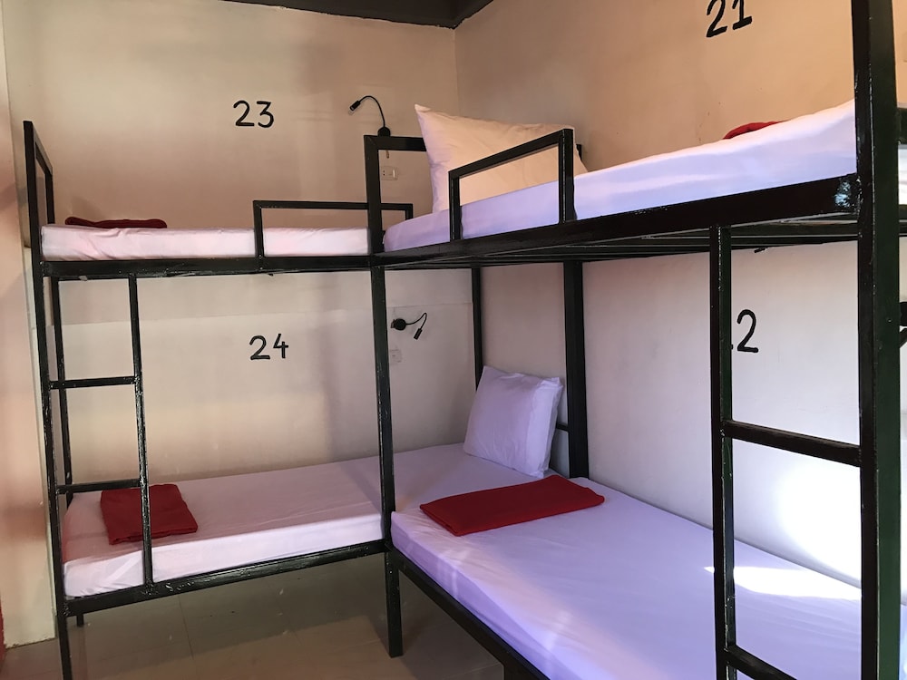 Standard Shared Dormitory photo 1
