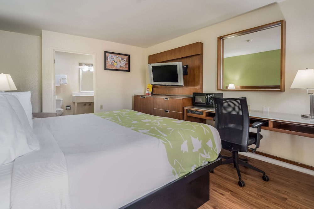 Standard Room, 1 King Bed, Accessible, Non Smoking - Photo 2