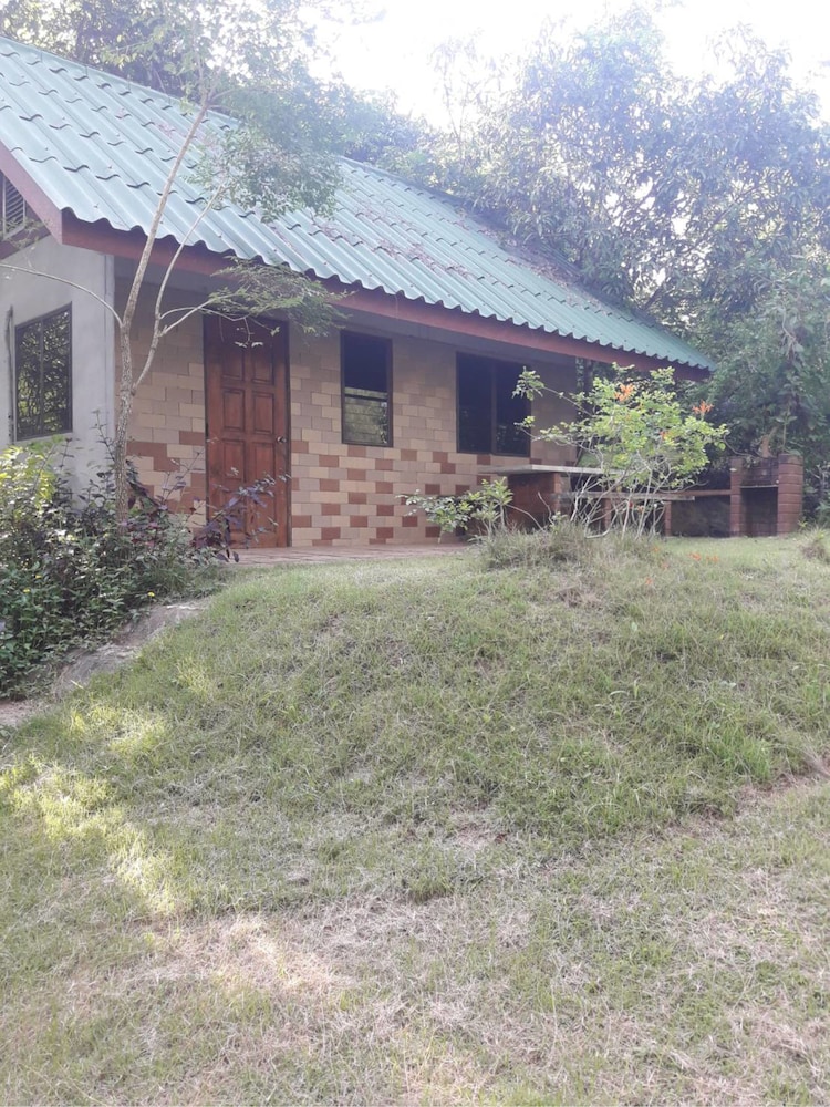 Family Bungalow photo 3
