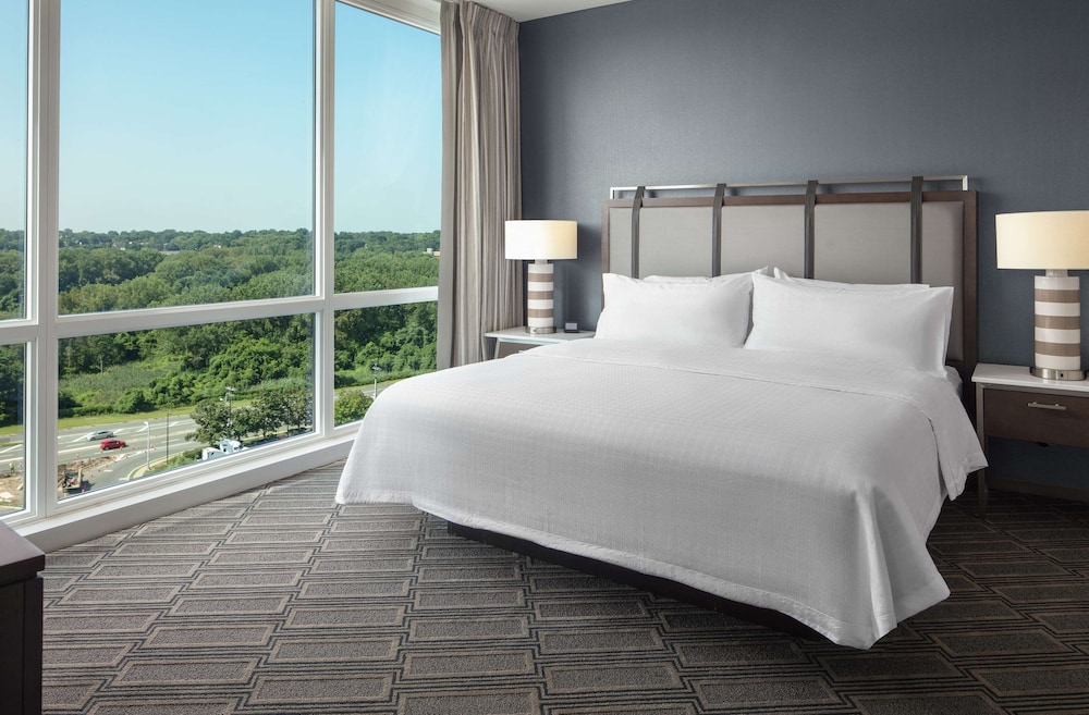 Suite, 1 King Bed, Accessible (Hearing) photo 3