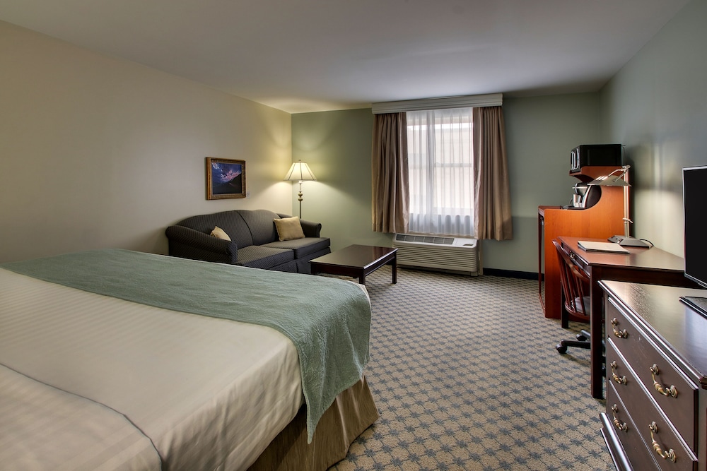 Standard Room, 1 King Bed with Sofa bed photo 3