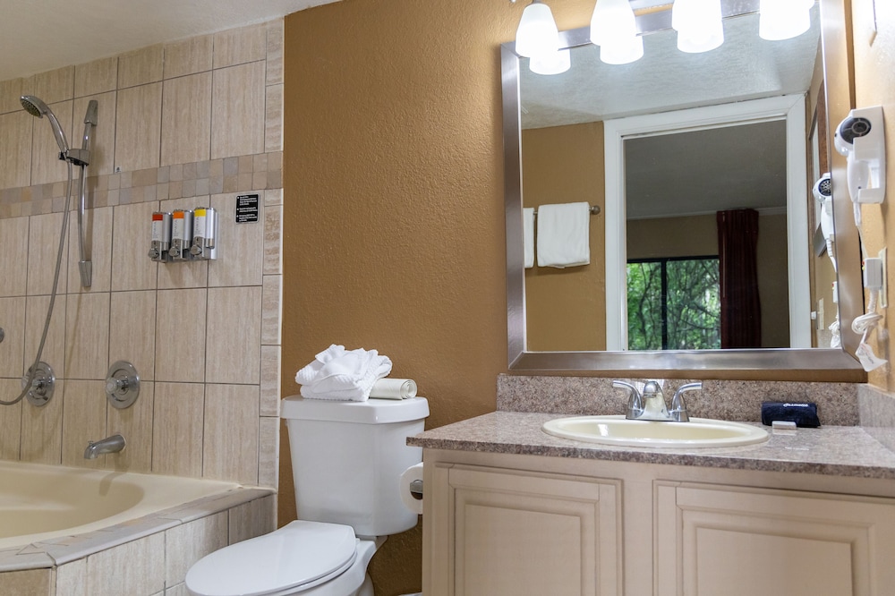 Suite, 1 Bedroom (at the Oaks) - Photo 8