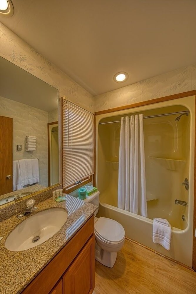 2 Bed Efficiency with Kitchen photo 2