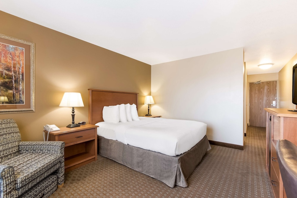 Room, 1 Queen Bed photo 2